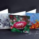 Greeting Cards (Series 1, 2010)